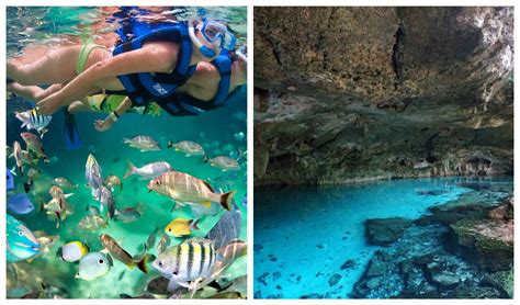 Magical cenote and paradise lagoon snorkeling adventyre